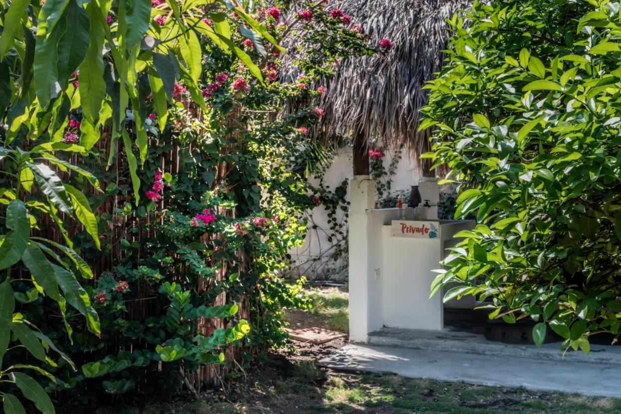 Zoah Surf Boutique Hotel, El Paredon El Paredón Buena Vista Εξωτερικό φωτογραφία